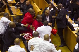 s africa parliament fist fight