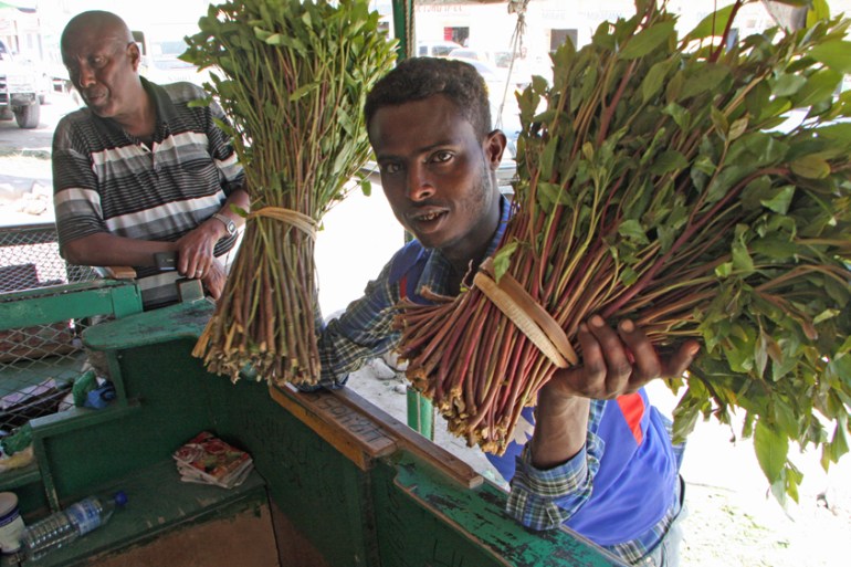 khat chewing