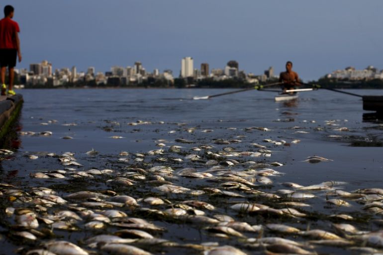 Dead fish are pictured next to a rowing athlete as he attends a training session at the Rodrigo de Freitas lagoon, in Rio de Janeiro