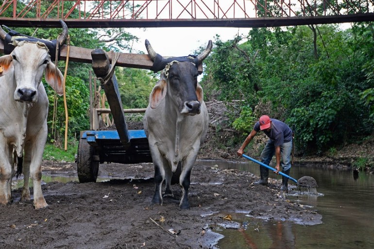 Nicaragua Farmers