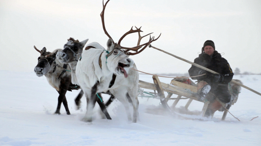 
Once a year the reindeer herders celebrate a festival that features a reindeer sleigh race where they can display their skills [Lichtblick Film / Al Jazeera]

