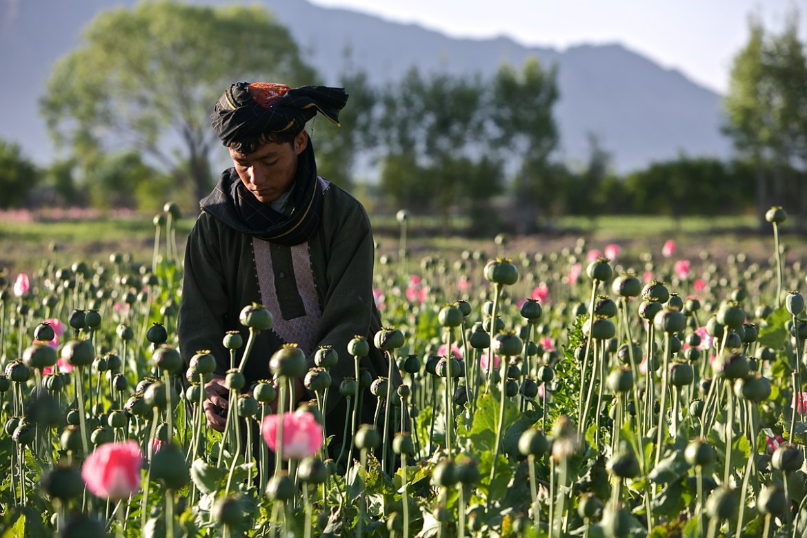 Afghanistan''s Billion Dollar Drug War