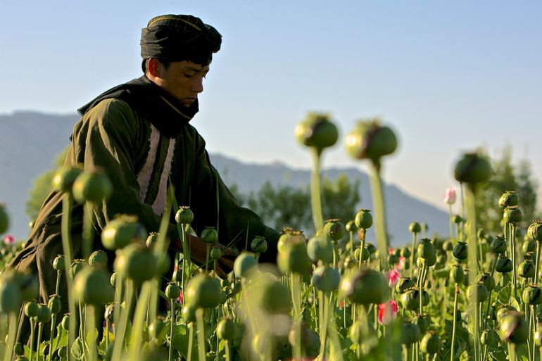 Afghanistan drugs