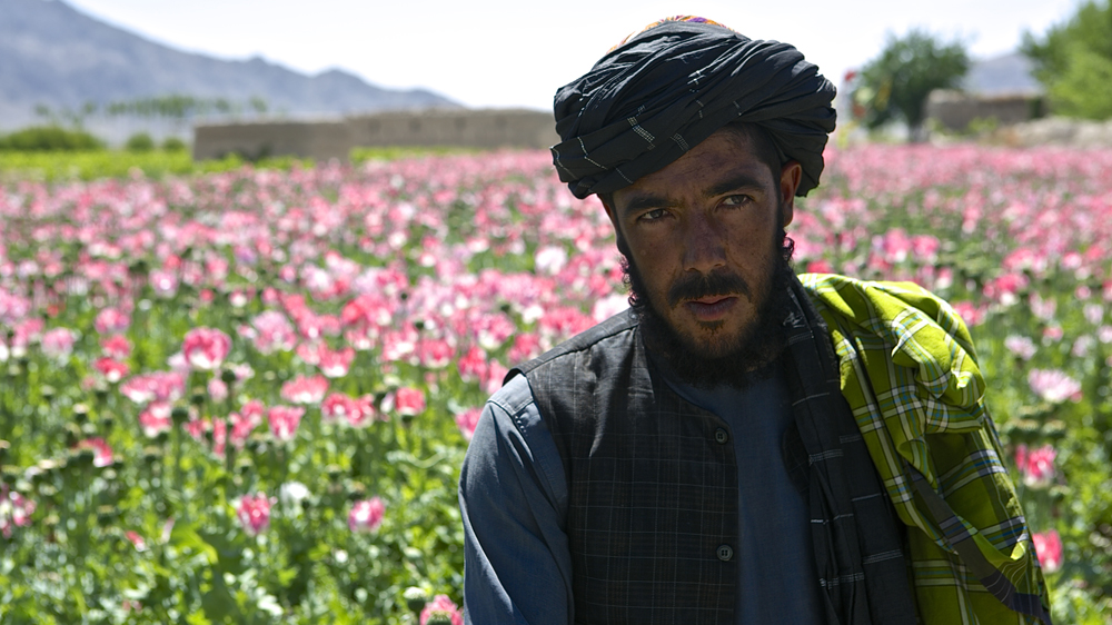 Farmer Fazel Rehman said growing poppy is the only way to feed his family [Steve Chao/Al Jazeera]