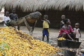 A woman sorts through a pile of cashew nuts as children look on next to a farm owned by former Guinea Bissau army chief General Antonio Indjai outside Mansoa