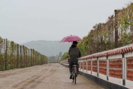 Woman with umbrella on the Tongbon Cooperative Farm in North Korea [Getty]