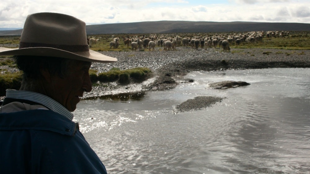 Julian Idme looks on having led his herd out to pasture for the day [Alex Pashley/Al Jazeera] 