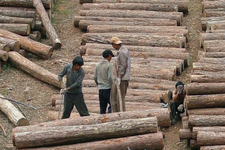 Myanmar - illegal logging