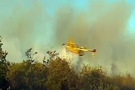 Croatian plane fights forest fires