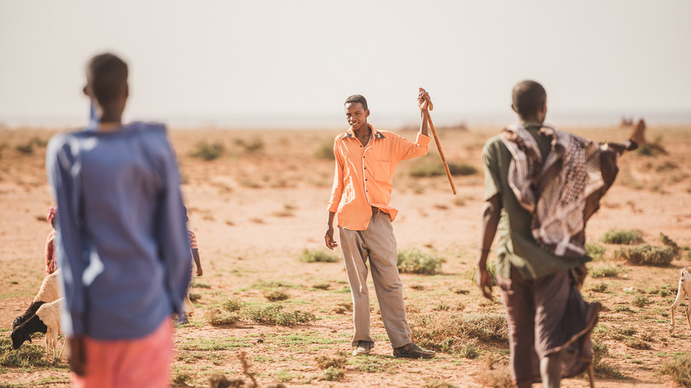 Abdi Salam's family is one of the few that haven’t moved from their area south of Hargeisa. Most neighbours travelled away with their livestock in search of rain. [Adrian Leversby/Awr Productions/Al Jazeera]