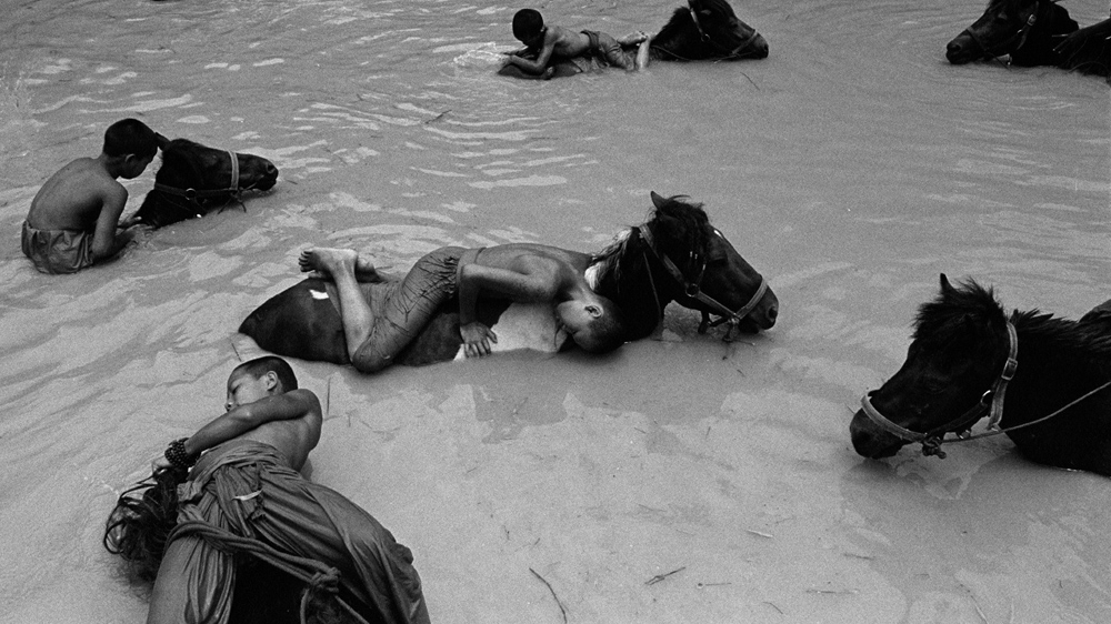 A few seconds before the orphaned boys were doing back flips off the backs of their horses. Then, exhausted, they just laid there quietly [Jack Picone]