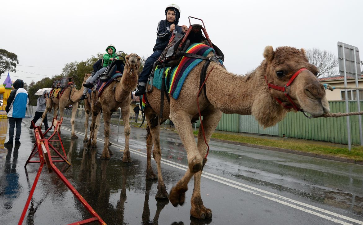 Children ride camels after a grand Eid al-Fitr prayer at the Lekamba mosque in western Sydney