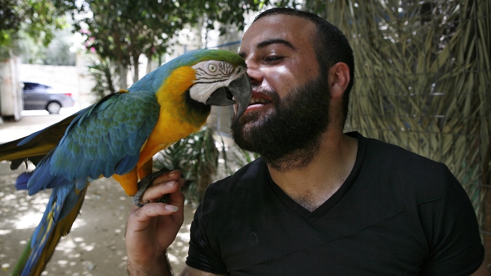 Jihad Jumaa, son of the Rafah Zoo owner, plays with the zoo's parrot [Silvia Boarini/Al Jazeera]