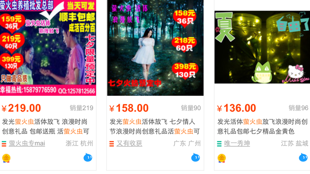 Fireflies are mostly sold in sets, with 55 supposedly meaning 'I love you'