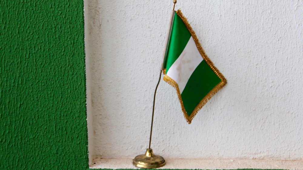 The green and white flag designed by Michael Taiwo Akinkunmi [Femke van Zeijl/Al Jazeera] 