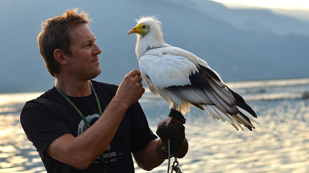 Scott Mason in Pokhara with an Egyptian Vulture named Kevin [Courtesy: The Parahawking Project]
