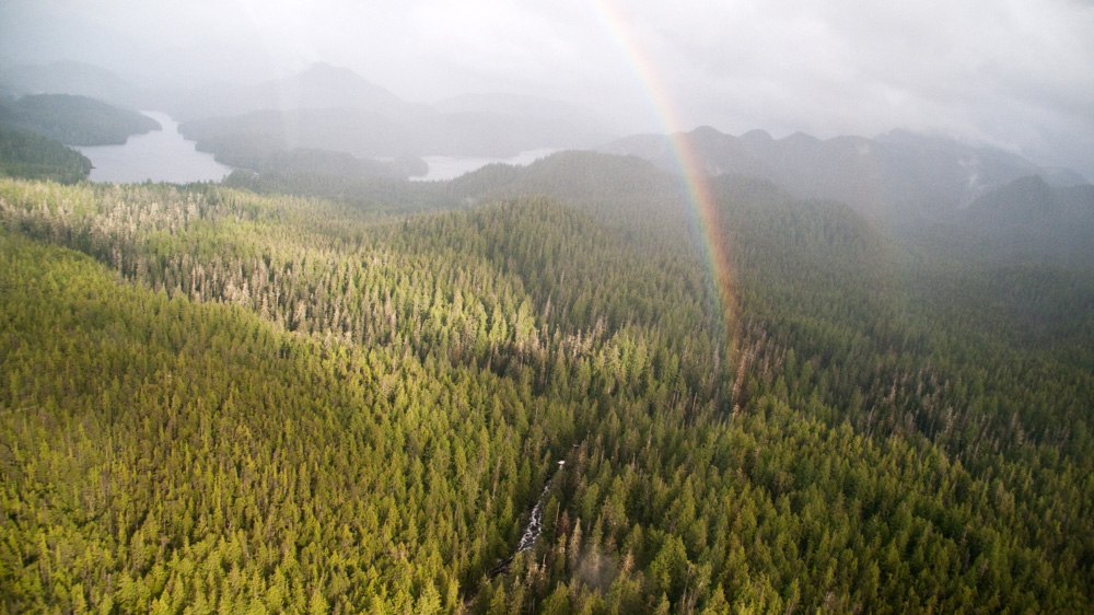 Residents and activists in the Great Bear Rainforest say they will continue putting pressure on the government [John Zada/Al Jazeera]