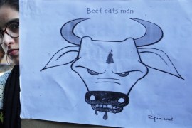 INDIA BEEF ISSUE
