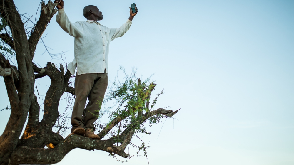 Kisilu stands on a tree and tries to send a weather report [Banyak films]