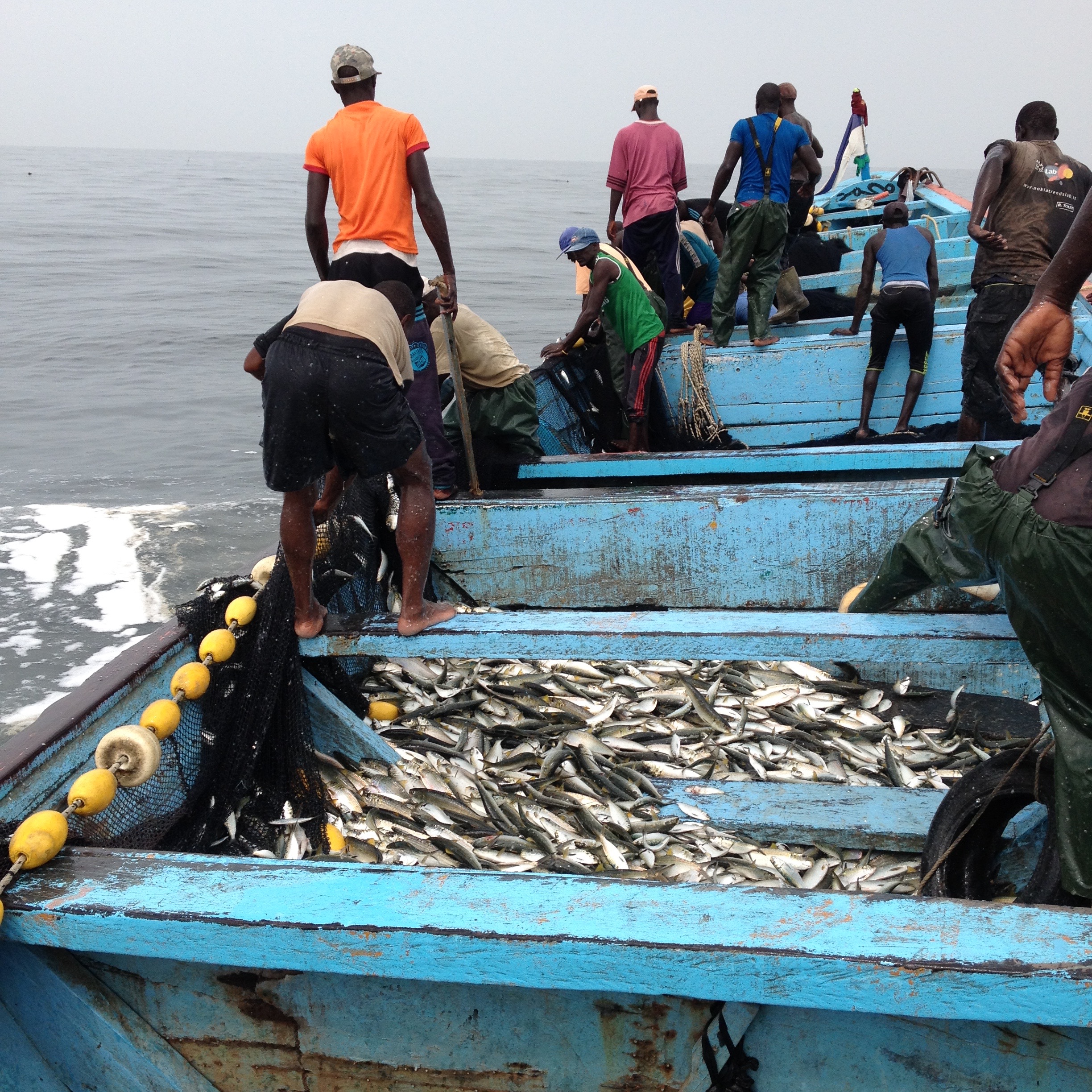 Fishermen aboard the Mansor Sakho pick nets off the coast of Senegal after a decent haul of sardines [Anna Badkhen/Al Jazeera]