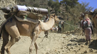 Smuggling oxygen cylinders via camel has become 'profitable work' in Yemen [Taha Saleh/Al Jazeera]