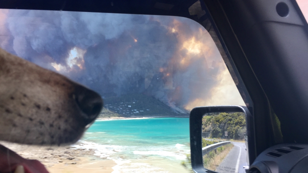 
The Jacobs family safely evacuates with their pet dog and watch as the fire reaches Wye River [Tom Jacobs/Al Jazeera]
