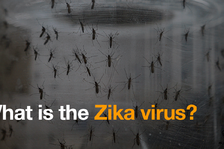 Zika virus gif