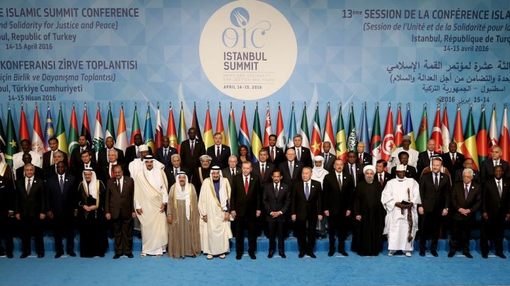 Islamic Summit party in Istanbul