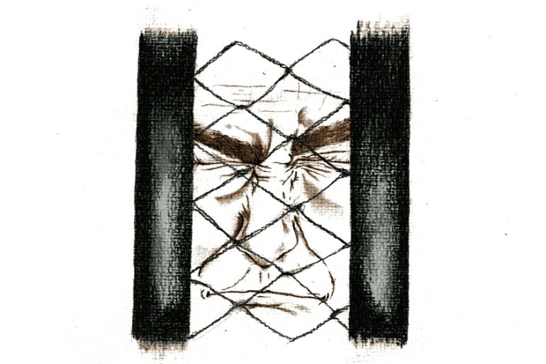 caged and confused outside image