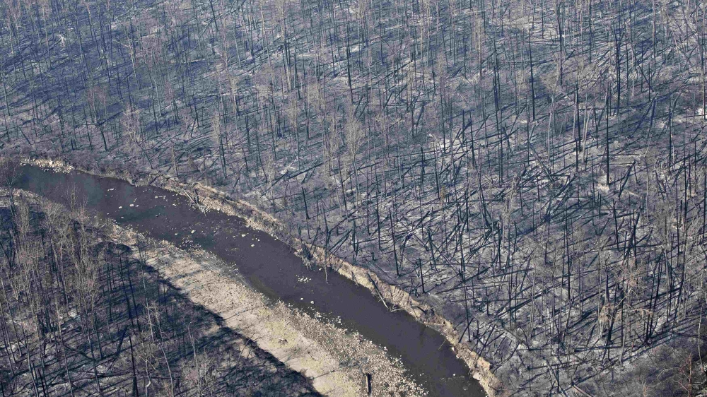 An aerial view of the effect of the wildfire that forced the mass evacuation [Jason Franson/Reuters]