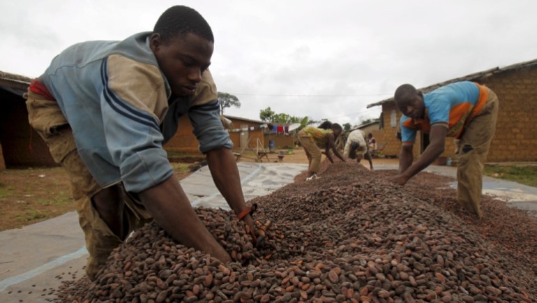 File photo of workers drying cocoa beans in the village of Goin Debe