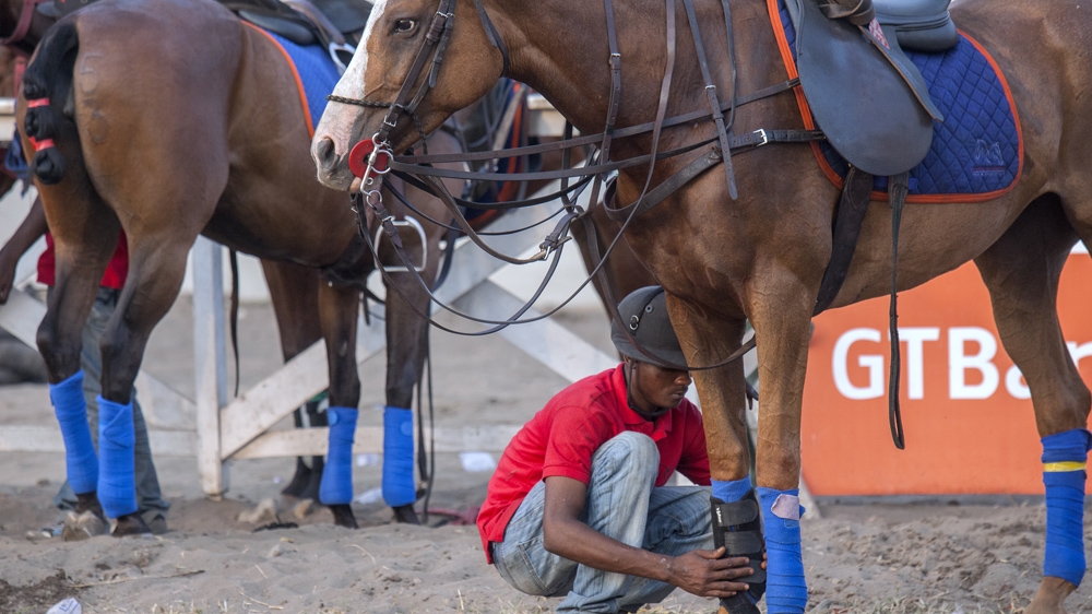 A groom takes care of the horses [Andrew Esiebo/Al Jazeera] 