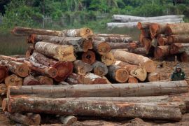 Illegal logging, Brazil