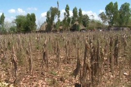 Guatemala drought