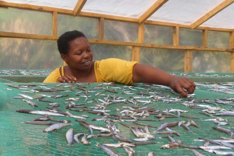 Fish drying in Malawi