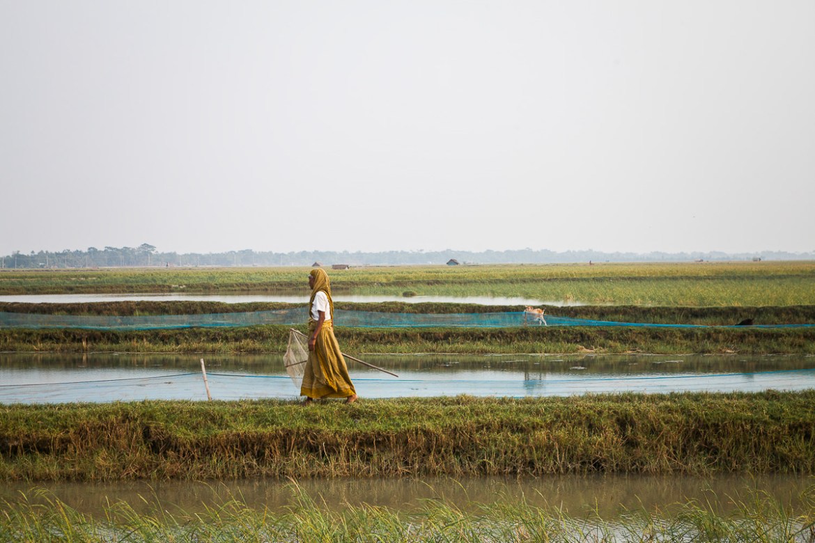 Onjo Boiragi, catching crabs nearby her home in a village outside Mongla. many parts of the region, the land surrounding her house has growing more and more salty, making traditional rice cultiva
