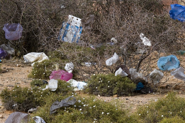 Morocco Plastic Bags Battle