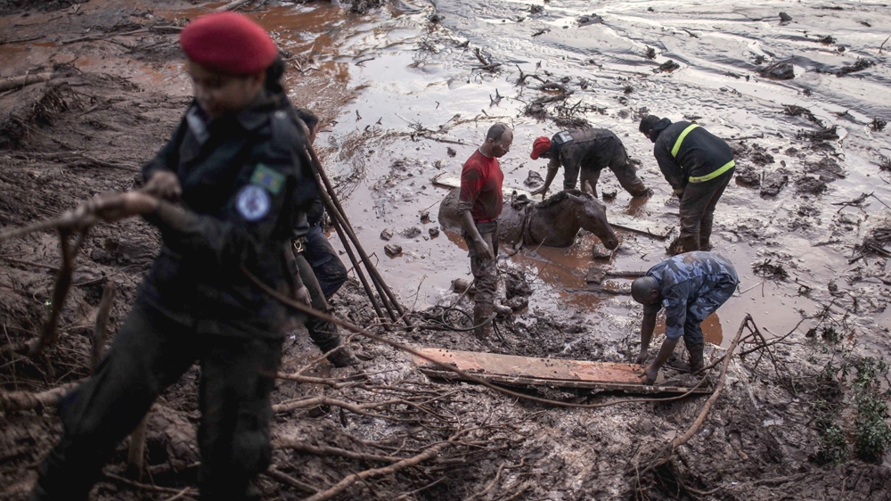 Police rescue a horse trapped in the mudslide [Al Jazeera]