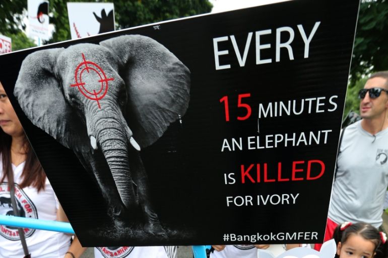 A protest against the ivory and rhino horn trade takes place in Bangkok, Thailand