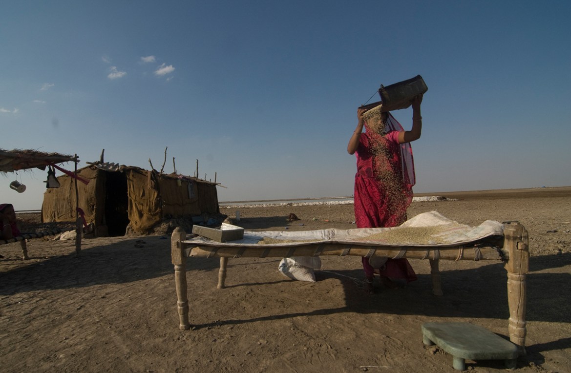 An Agariya woman sorting the grains beside her hut. During the peak harvesting season, the Agariyas set themselves up in makeshift shacks near the salt fields. [Sugato Mukherjee/Al Jazeera]