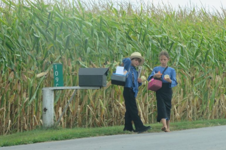 Amish voters - Please do not use