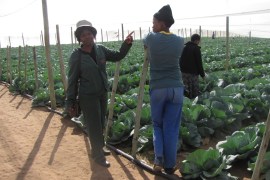 Female farmers in Botswana