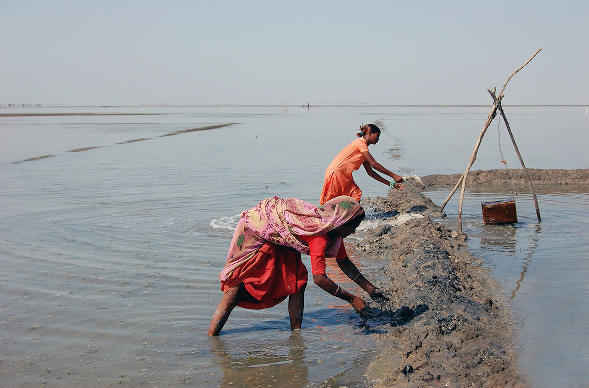 The salt farmers of India's Rann of Kutch marshes | Gallery | Al Jazeera
