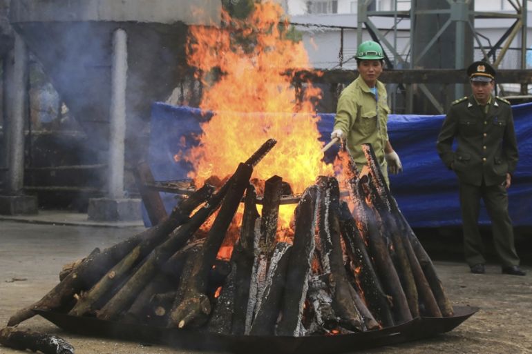 Vietnam burns illegal rhino horns and elephant ivory
