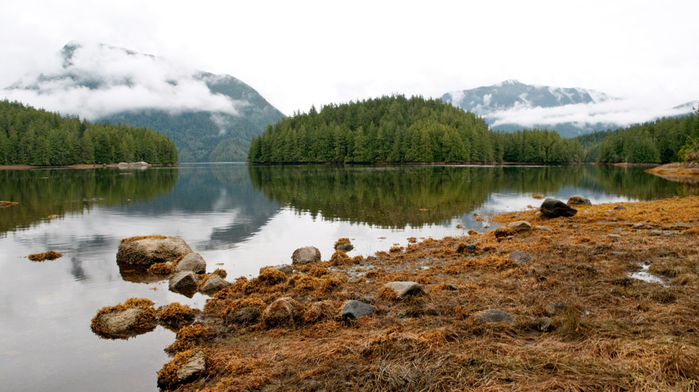 Heiltsuk First Nation Territory is located at the heart of the celebrated Great Bear Rainforest, as photographed before the fuel spill [John Zada/Al Jazeera]