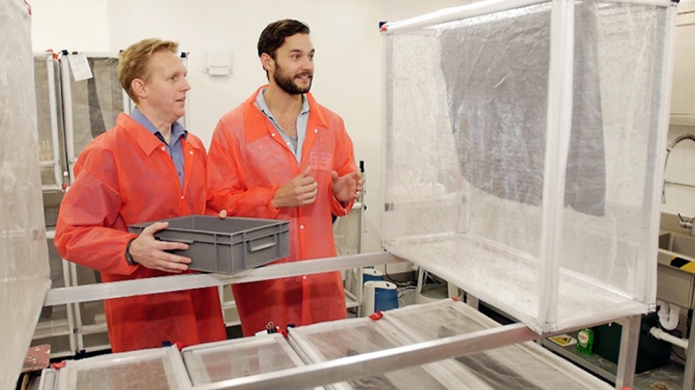 Phil and Oxitec's product development manager, Derric Nimmo, head to the rearing room next. There are 16,000 mosquitoes getting to business here [Al Jazeera]