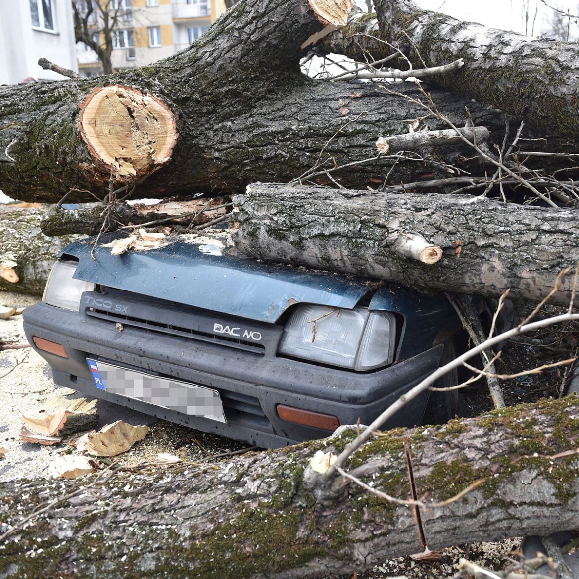 A car destroyed by a fallen tree in Krakow, Poland,as Storm Doris continues her destructive path through northern Europe.