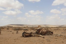 somalia drought infographic