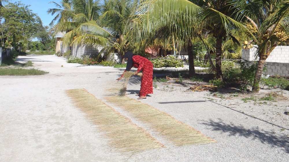 Sun dried reeds ready to be woven into mats [Aishath Niyaz/Al Jazeera]