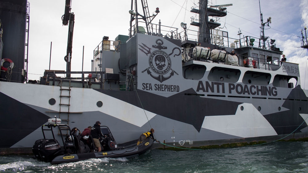 Sea Shepherd has found more than 100 illegal nets in the waters inhabited by the vaquitas [Ricardo Lopez/Al Jazeera]